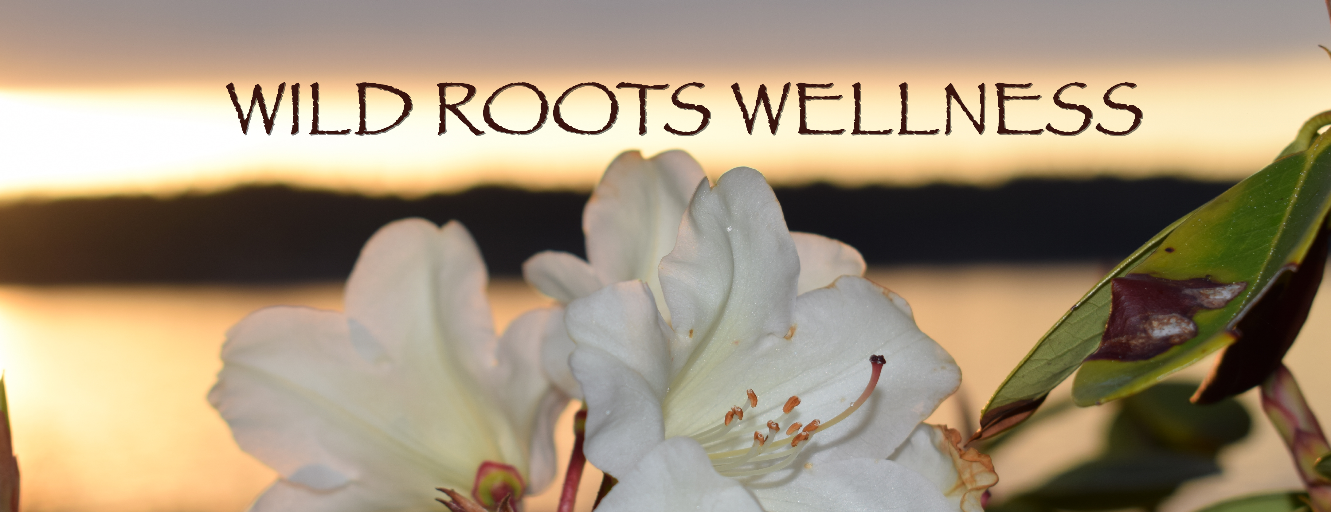 Wild Roots Wellness